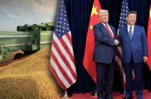 China Cuts U.S. Farm Tariffs Excludes Soybeans