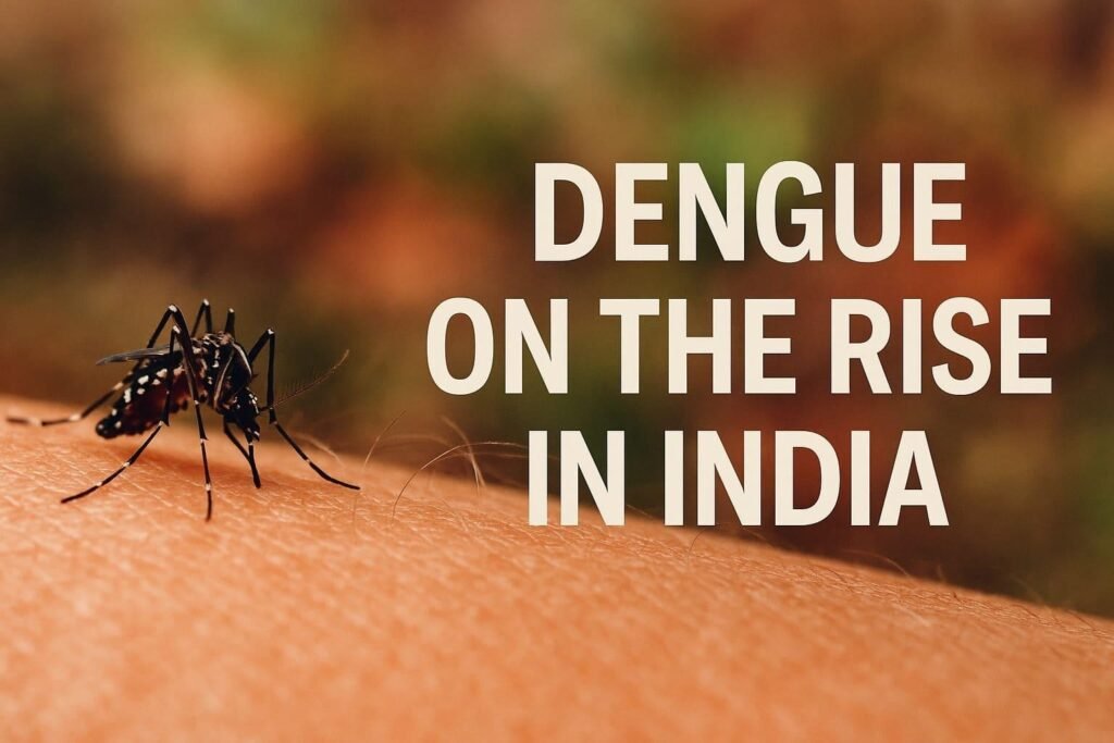 Raise Dengue Risk