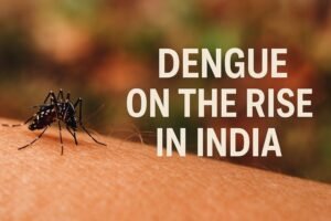 Raise Dengue Risk